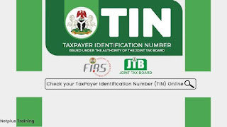 Cast9ja: How to generate tax identification number in Nigeria
